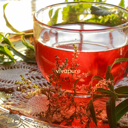 Gourde à infusion fruits & herbes en verre double