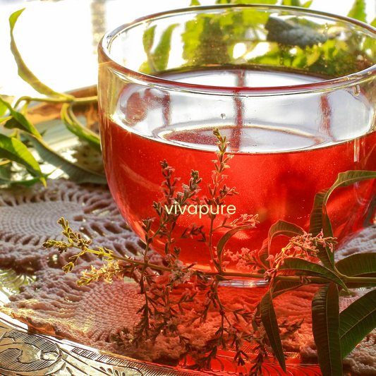 Gourde à infusion fruits & herbes en verre double